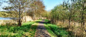 Town Lake Walk Midpoint