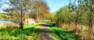 Town Lake Walk Midpoint(Enhanced)