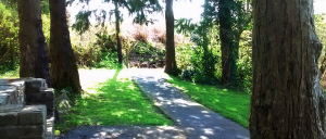 Town Lake Bench, Cavan Road End