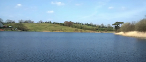 View from Town Lake Jetty