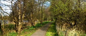 Town Lake Walkway