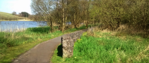 Town Lake Pathway