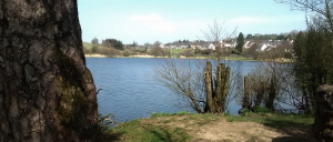 Town lake Cavan Road End Island View